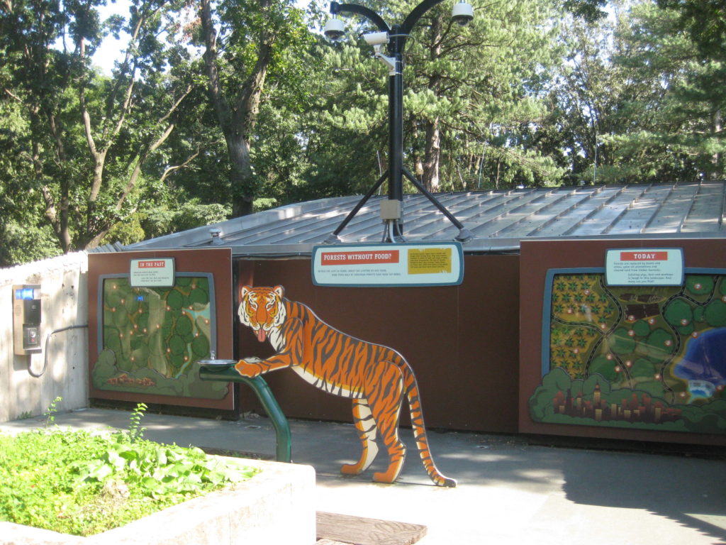 National_Zoo_Tiger