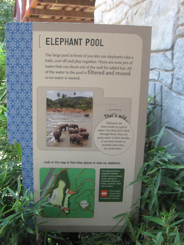 National_Zoo_Washington_DC_Elephant_Pool