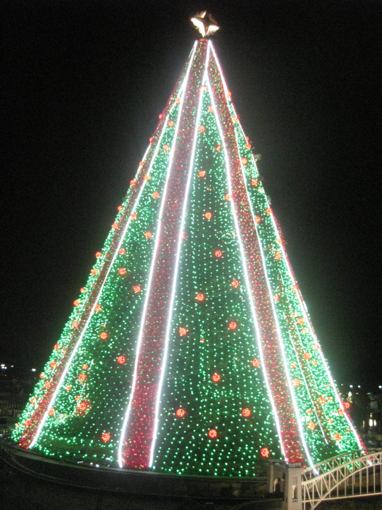 National_Christmas_Tree_Washington_DC
