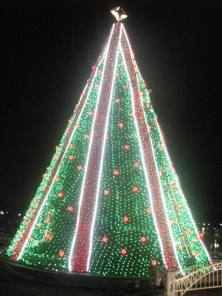 IMG 3319 e1544407856255 768x1024 - Christmas Tree at the White House and U.S. Capitol in Washington, D.C. in 2018