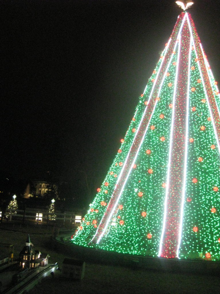 IMG 3334 e1544407767503 768x1024 - Christmas Tree at the White House and U.S. Capitol in Washington, D.C. in 2018