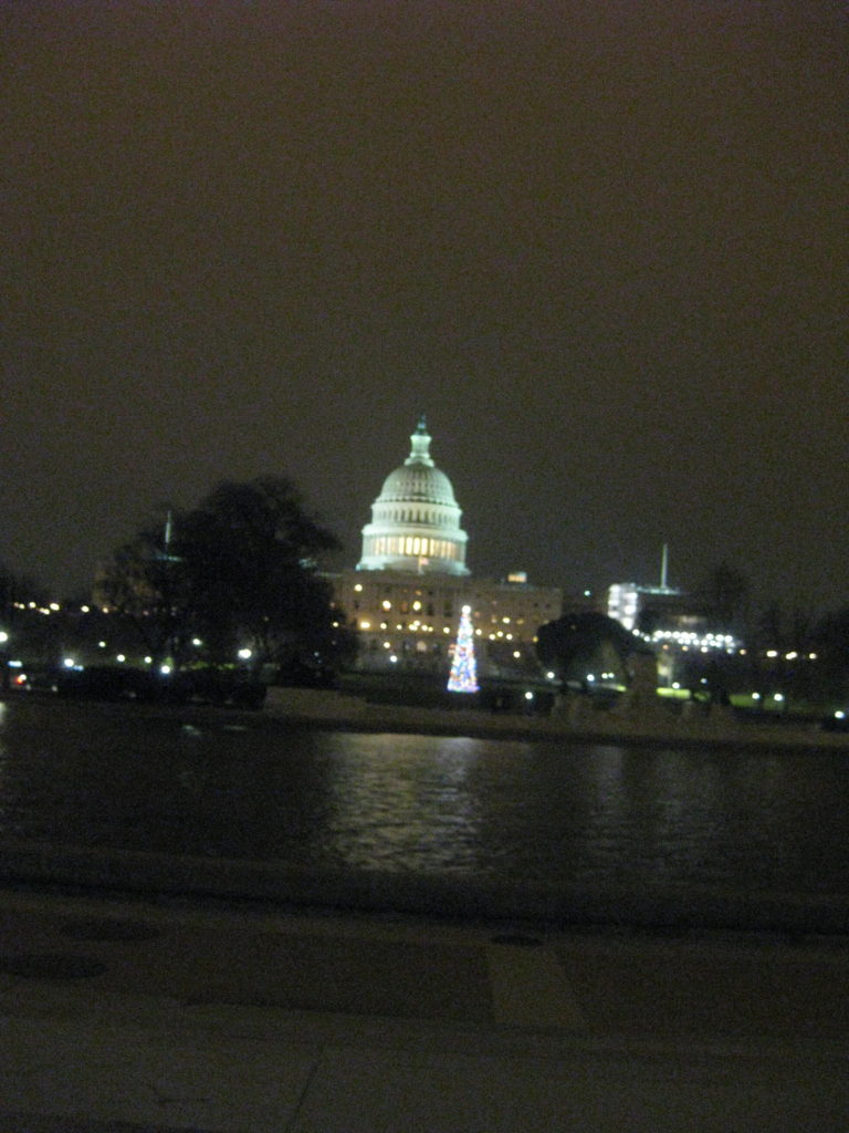 IMG 3338 e1544407616500 768x1024 - Christmas Tree at the White House and U.S. Capitol in Washington, D.C. in 2018