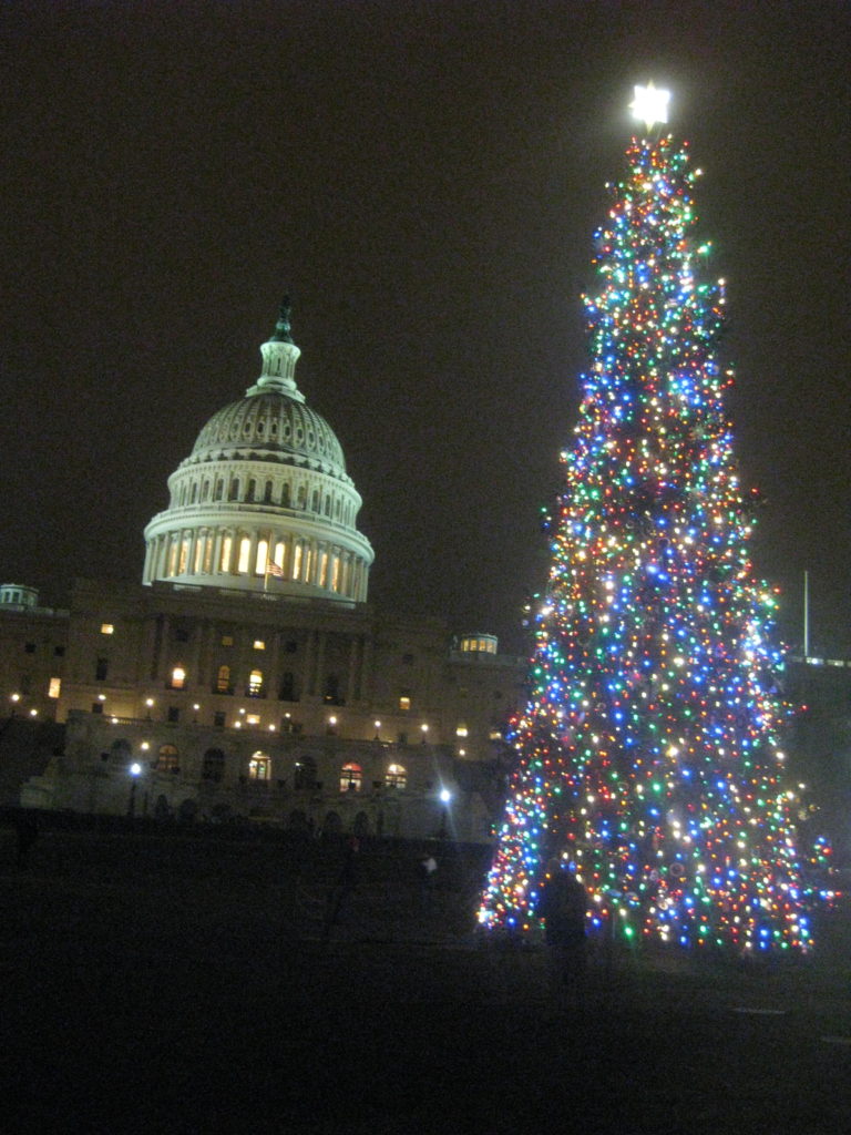 IMG 3343 e1544407540794 768x1024 - Christmas Tree at the White House and U.S. Capitol in Washington, D.C. in 2018