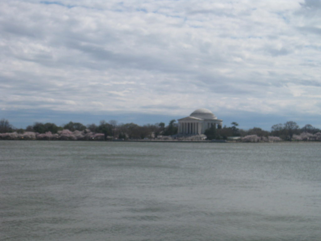 cherry blossoms thomas jefferson memorial 1024x768 - Washington D.C. and Cherry Blossoms 2019