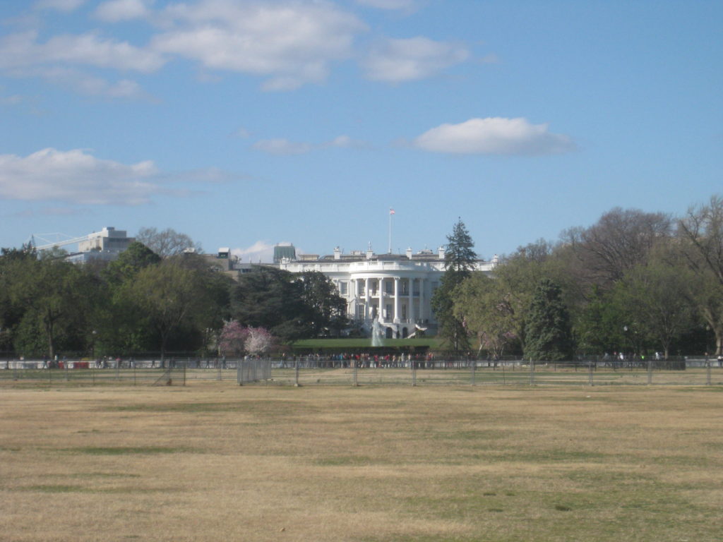 white house washington dc 2019 1024x768 - Washington D.C. and Cherry Blossoms 2019