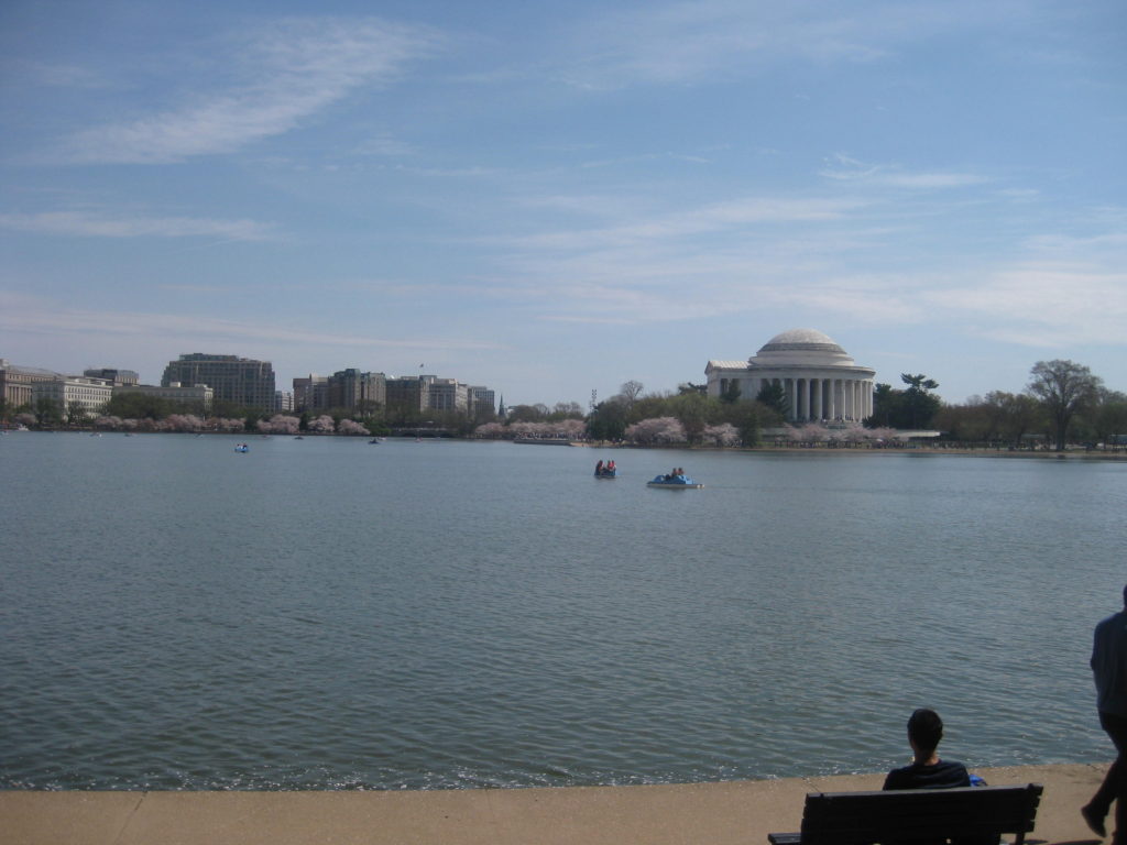 cherry blossom tidal basin jefferson memorial 1024x768 - Washington D.C., Cherry Blossoms, and National Museum of African Art April 2019