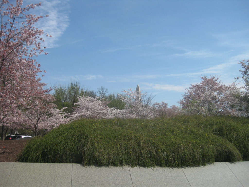 cherry blossom washington monument tip 1024x768 - Washington D.C., Cherry Blossoms, and National Museum of African Art April 2019