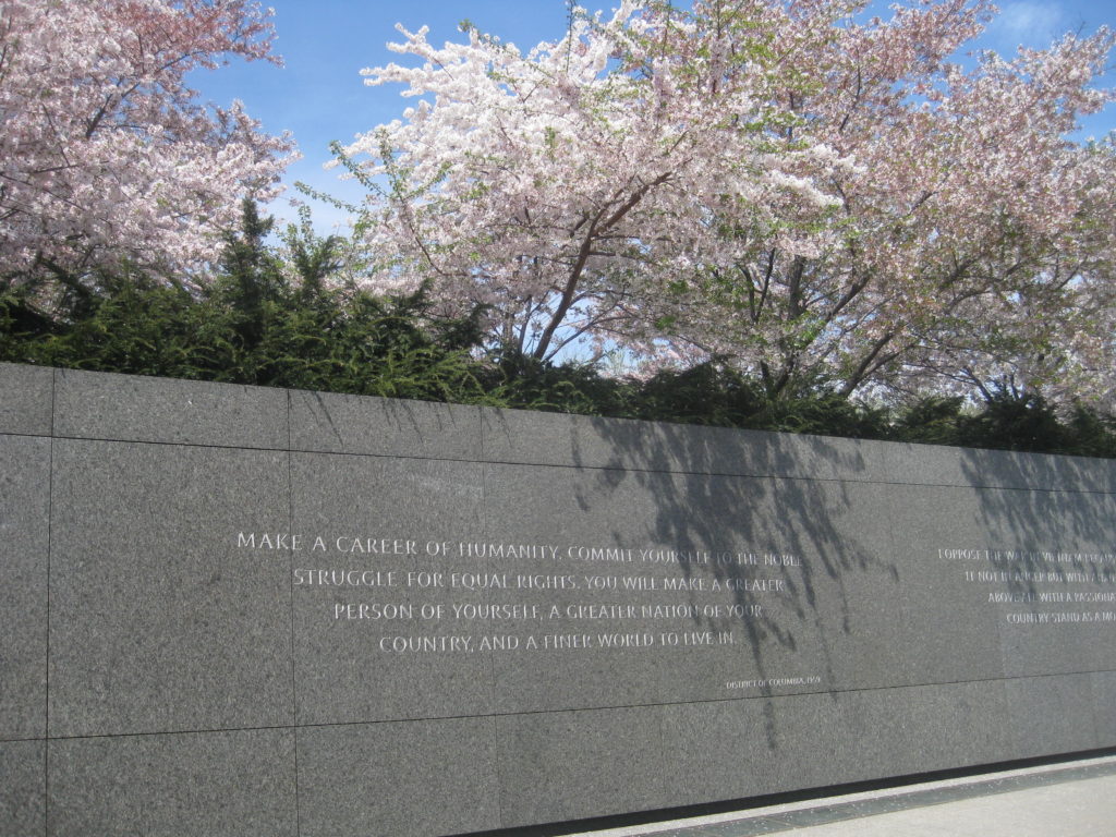 martin luther king memorial wall cherry blossom 1024x768 - Washington D.C., Cherry Blossoms, and National Museum of African Art April 2019