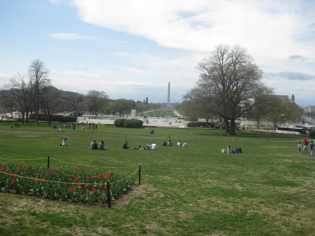 national mall capital view washington 1024x768 - Washington D.C., Cherry Blossoms, and National Museum of African Art April 2019