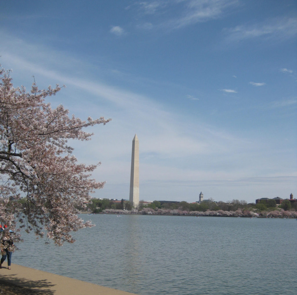 washington monument cherry blossom tidal basin 1024x1017 - Washington D.C., Cherry Blossoms, and National Museum of African Art April 2019