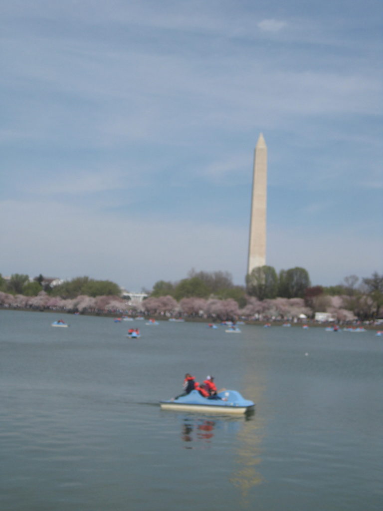 white house washington monument tidal basin e1554677816881 768x1024 - Washington D.C., Cherry Blossoms, and National Museum of African Art April 2019